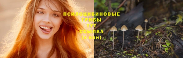 mdpv Алексин