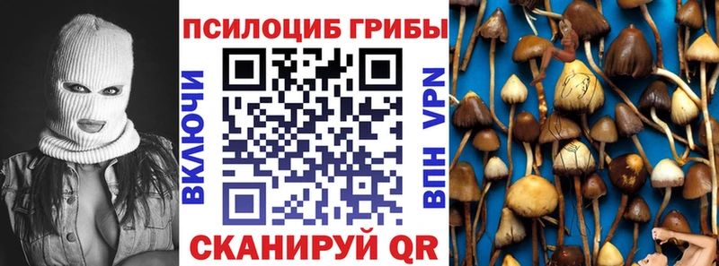 наркотики  Киров  Псилоцибиновые грибы мухоморы 